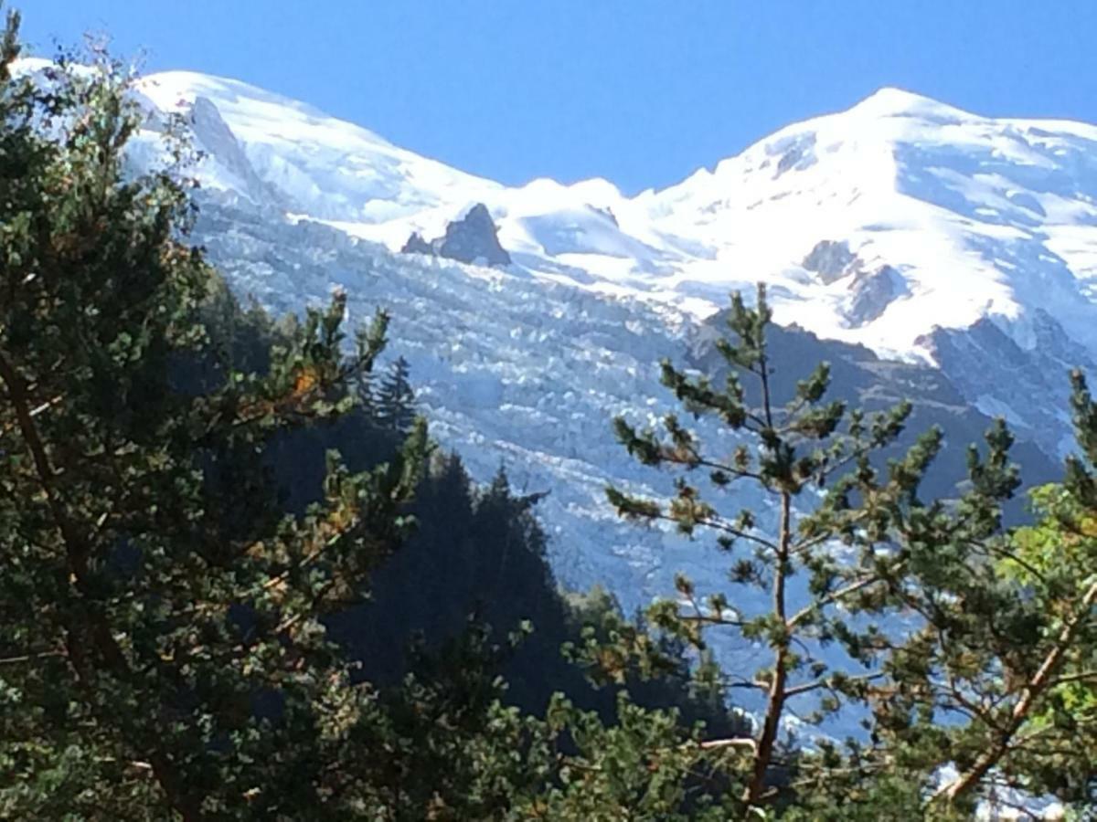 Chalet Des Petits Loups Chamonix ภายนอก รูปภาพ